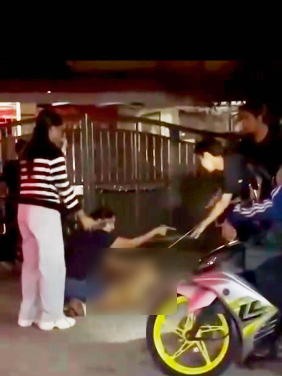 Klang dog strangled during council operation